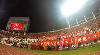 kaiyun网站-场馆设施翻新完成比赛场地改造计划推进，场馆设计方案